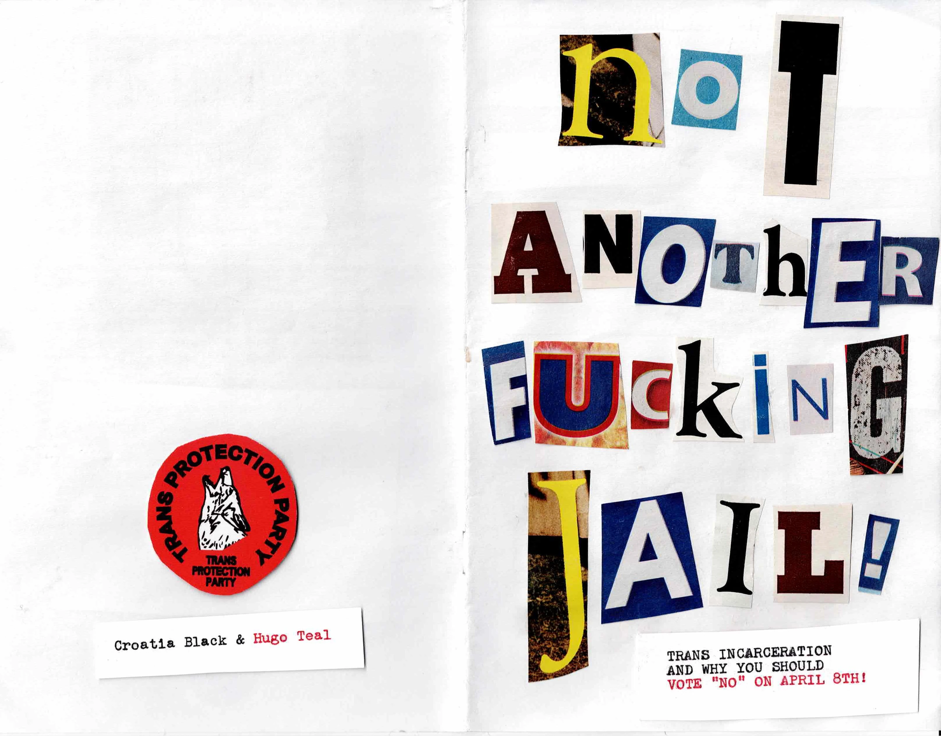 
Cover of this special zine:

noT ANOThER FUckiNG JAIL!

TRANS INCARCERATION AND WHY YOU SHOULD VOTE "NO" ON APRIL 8TH!